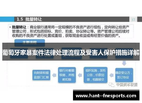 葡萄牙家暴案件法律处理流程及受害人保护措施详解